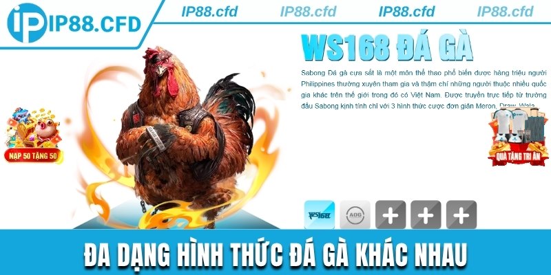 Khách hàng thoải mái lựa chọn hình thức đặt cược phù hợp