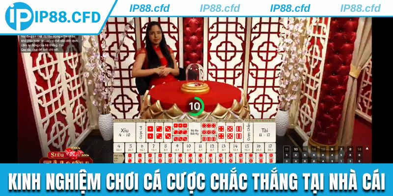 Kinh nghiệm chơi cá cược chắc thắng tại nhà cái