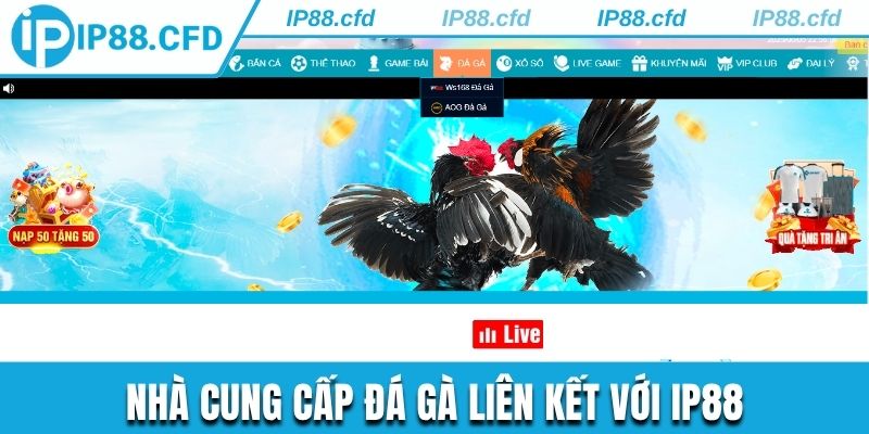 Nhà phát hành đá gà liên kết cùng IP88 cung cấp