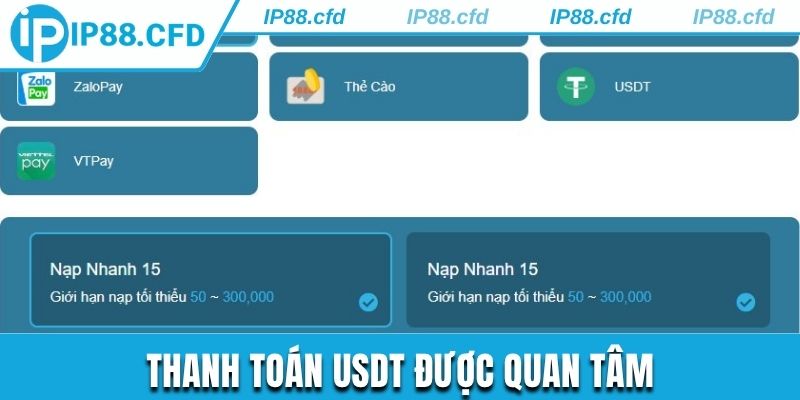Thanh toán USDT được quan tâm